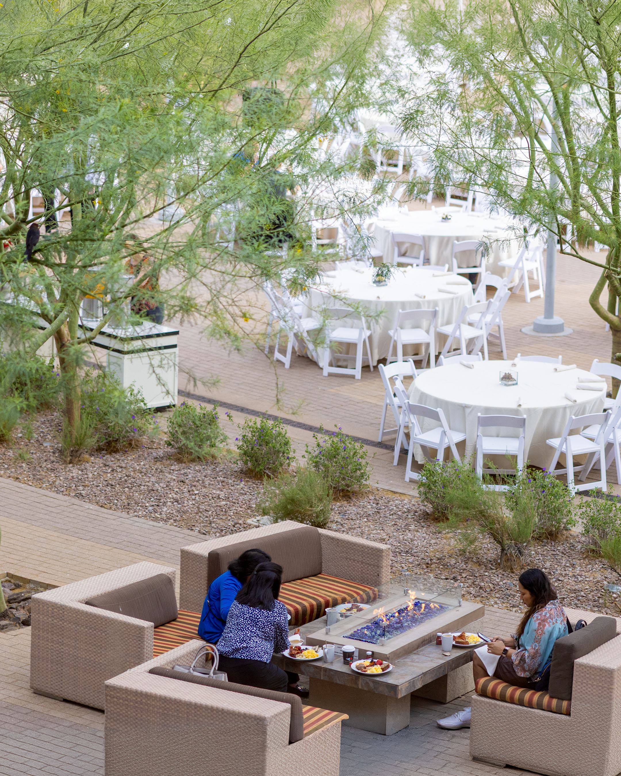 00 2160X2700 Firegarden2 (1)