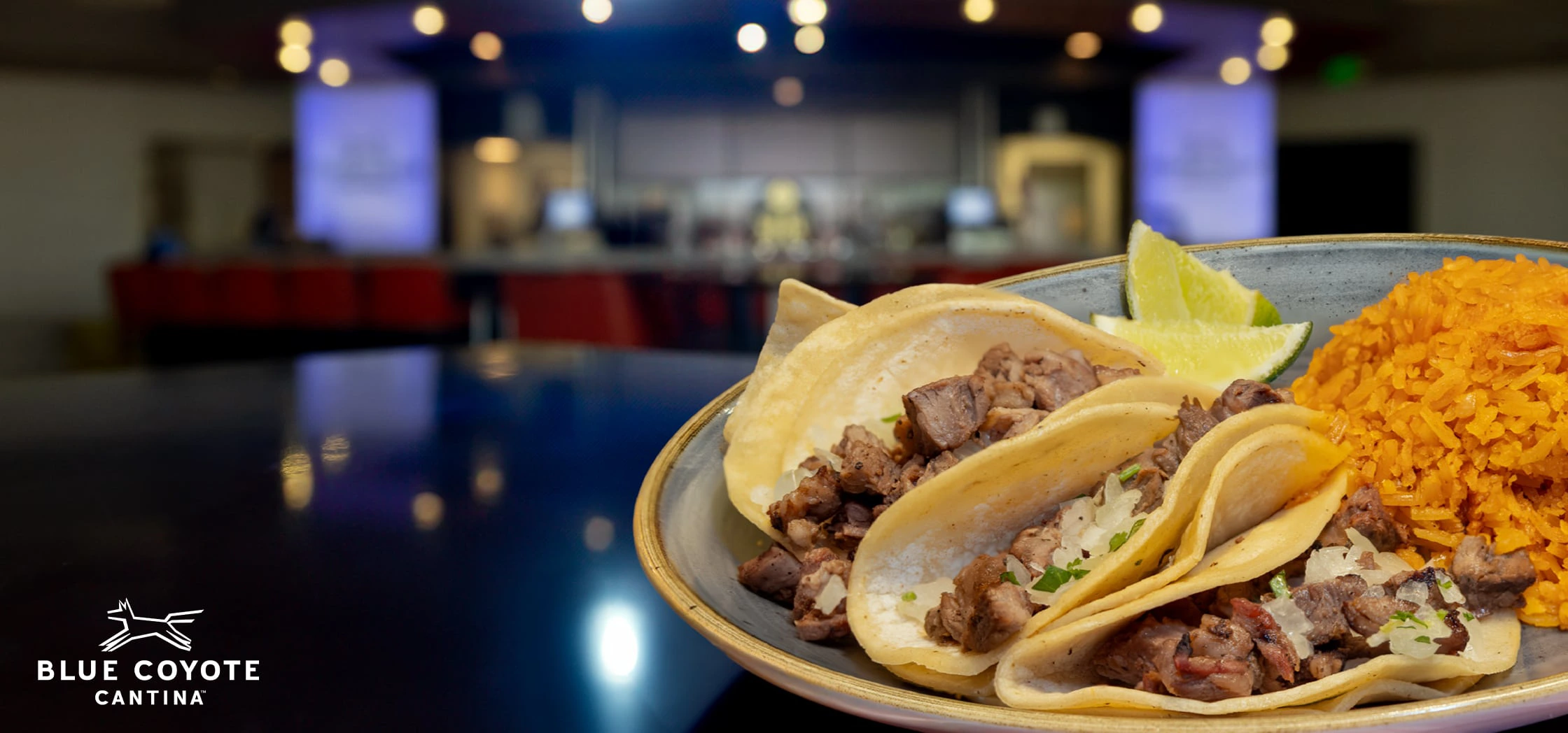 Blue Coyote Cantina bar