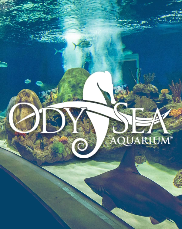 600X754 Odysea Aquarium